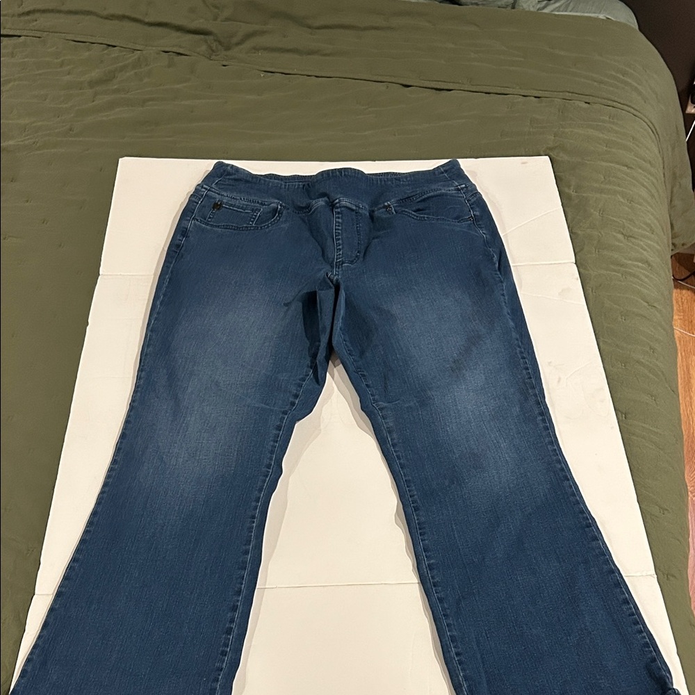 Lot of 2 Belle by Kim Gravel Tripleluxe bootcut jeans 16 Tall